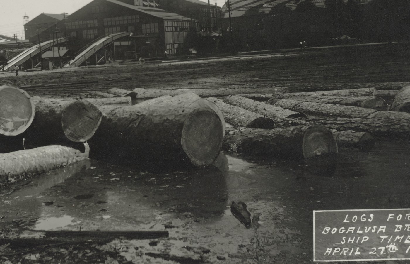 Logs in the mill pond at the Great Southern Lumber Company, Bogalusa, Louisiana, photographed on 27 April 1918