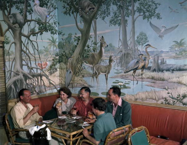 A hotel cocktail lounge with a curved bar and a painted mural of birds and swamp wildlife around the walls