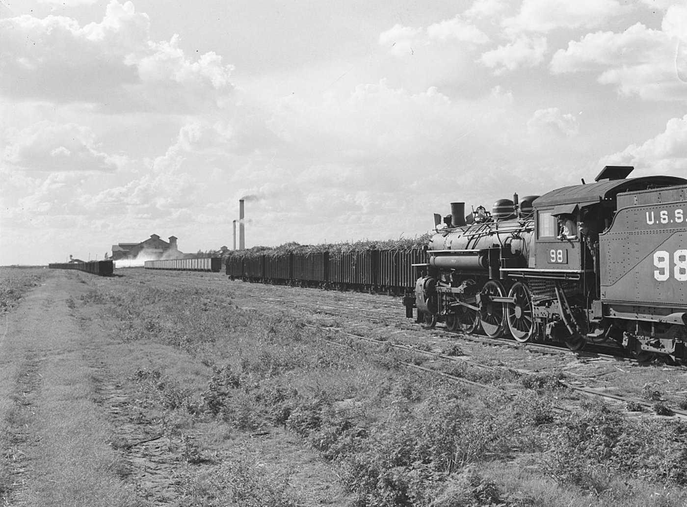 A U.S.S.C. steam locomotive hauling loaded cane cars toward a sugar mill on the horizon