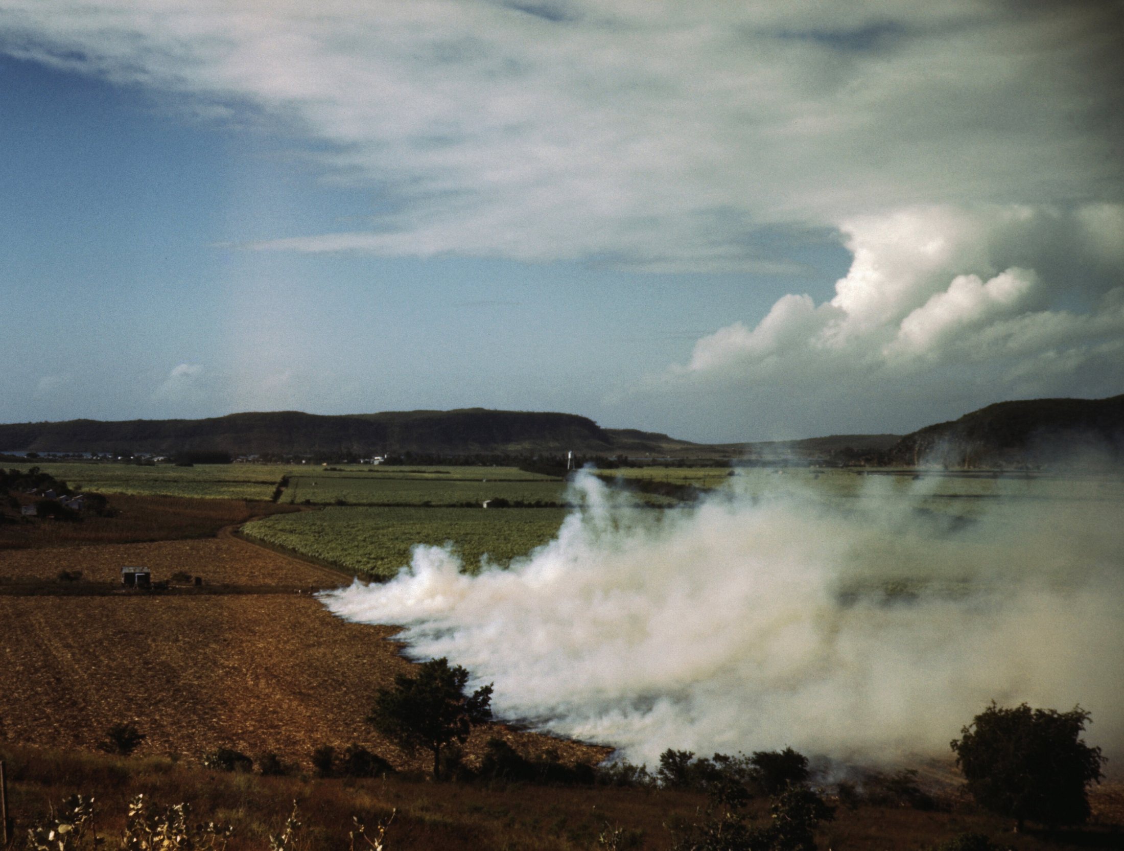 White smoke rolling across a cane field in a wide green valley under a blue sky: burning a field of sugar cane near Gu&aacute;nica, January 1942