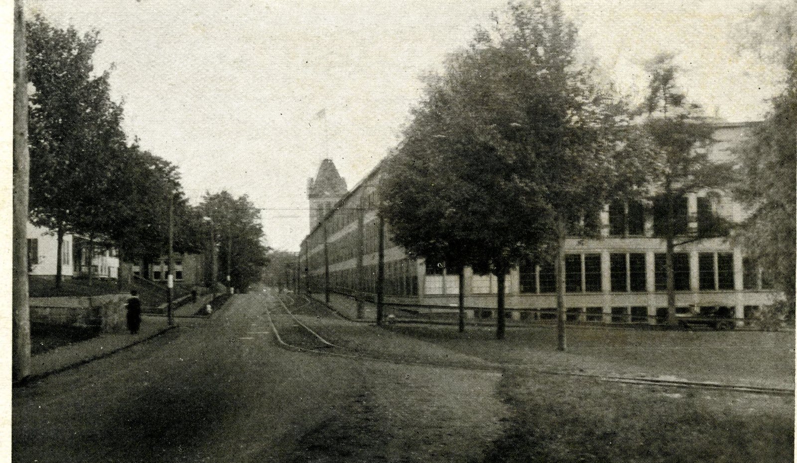 Hopedale Street around 1900: a wide unpaved road lined with young trees, and the long three-storey Draper works running along the right-hand side