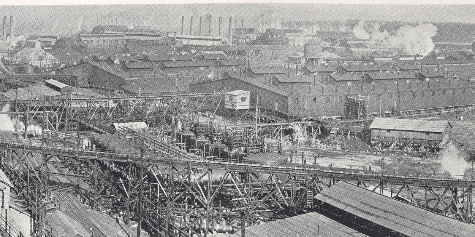A sprawl of long timber process buildings, trestles and tanks at the DuPont guncotton works, with stacks and steam in the distance