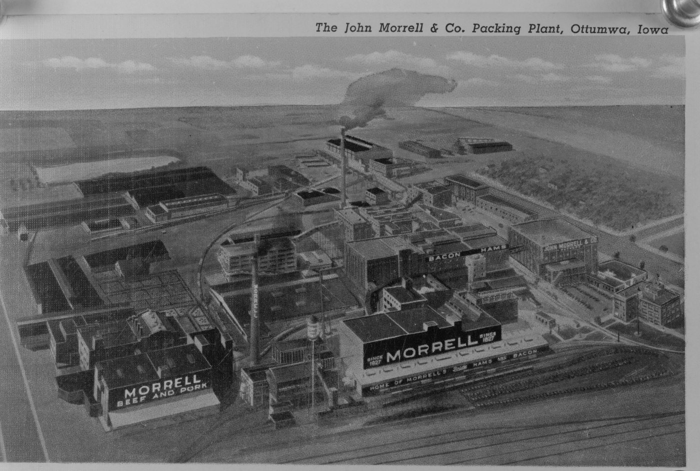 An aerial drawing of the Morrell packing plant at Ottumwa: brick buildings, sheds and railway sidings, MORRELL painted on two roofs