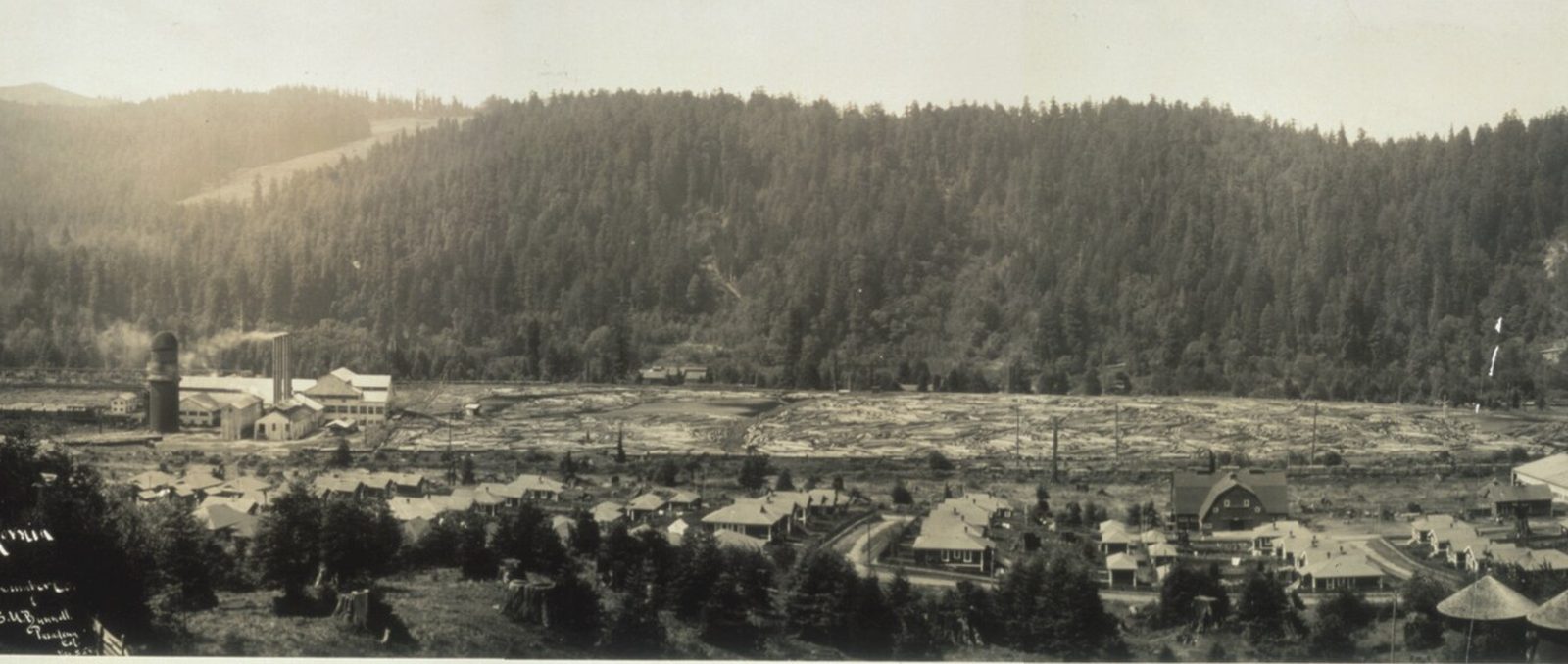 A panorama of a mill town in a valley: rows of small cottages in the foreground, a sawmill with a tall burner and a log pond behind, and forested hills above, Scotia, 1912