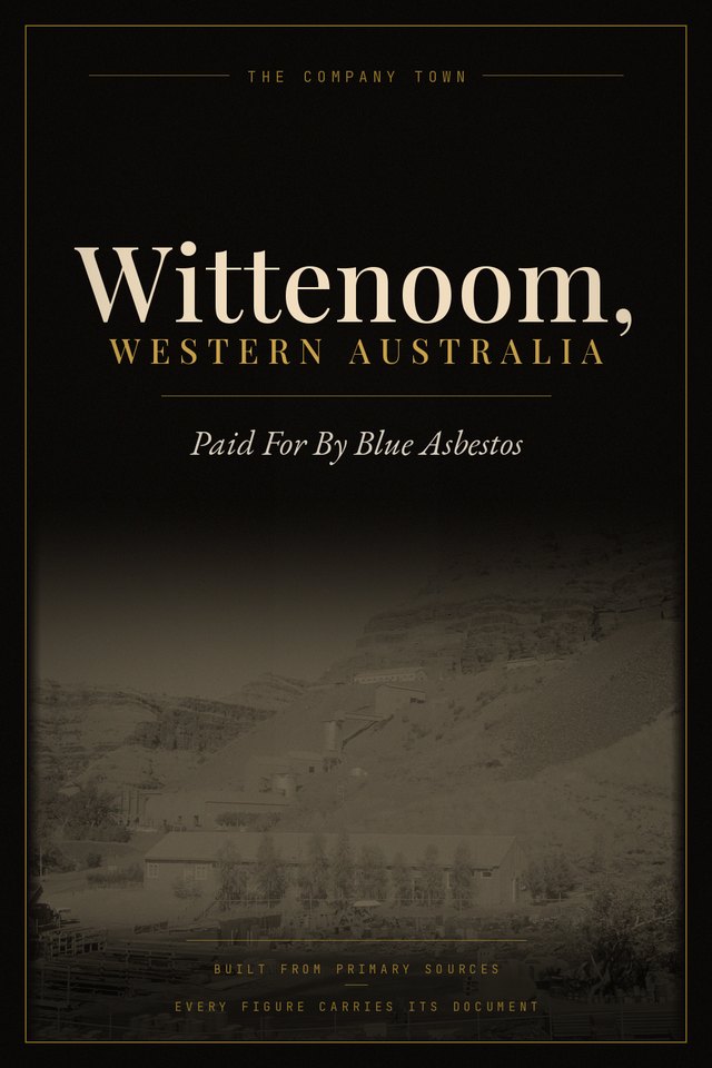 Wittenoom, Western Australia &mdash; the book